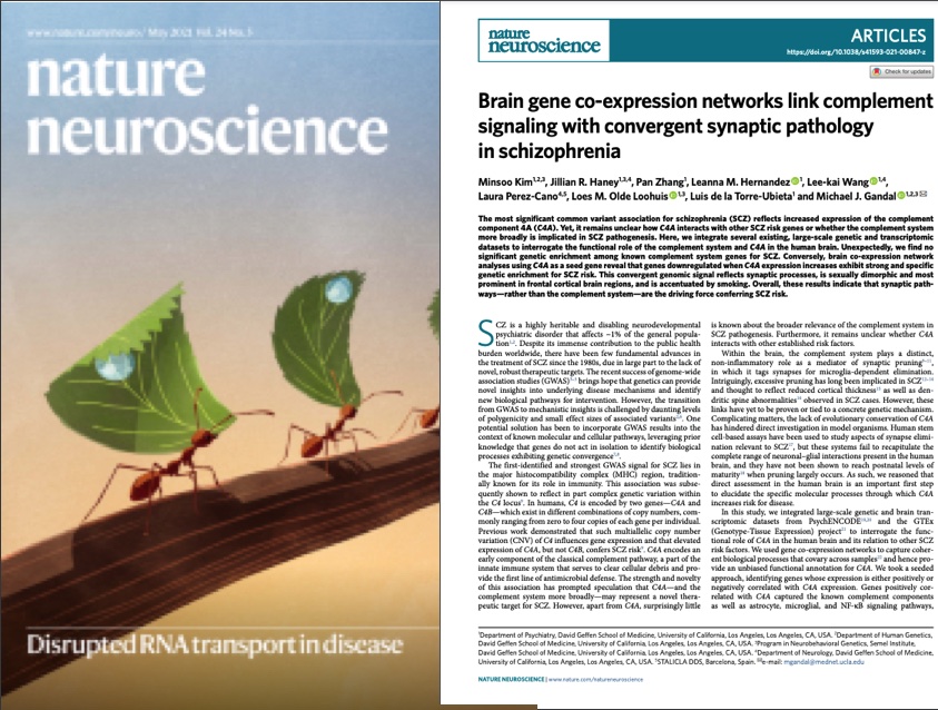 Nature Neuroscience magazine article