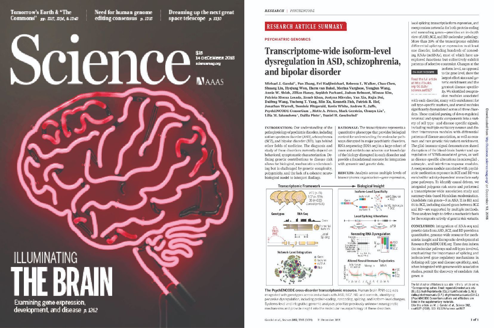 Science magazine article